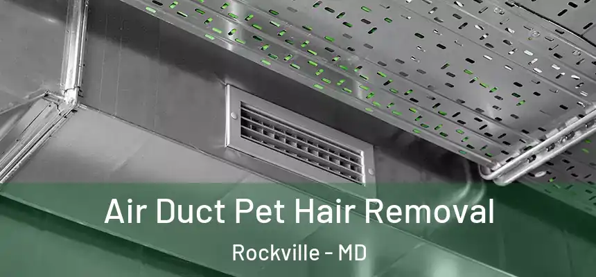  Air Duct Pet Hair Removal Rockville - MD