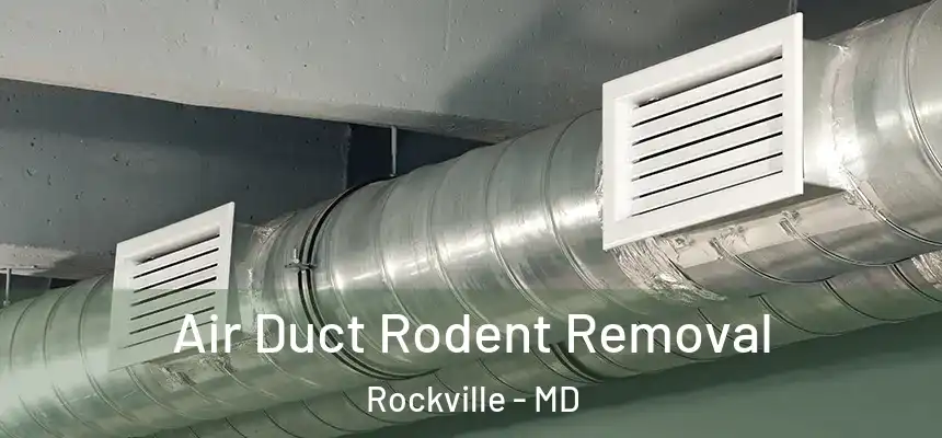  Air Duct Rodent Removal Rockville - MD