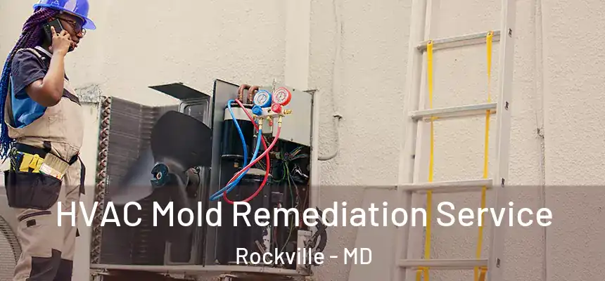  HVAC Mold Remediation Service Rockville - MD