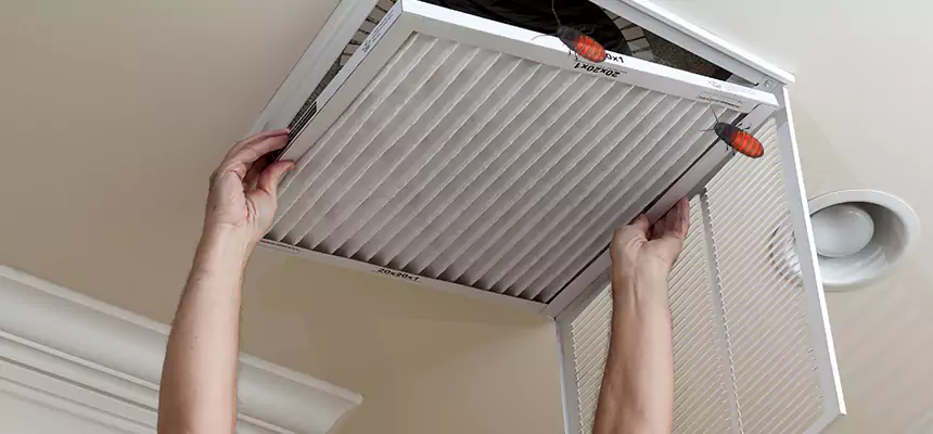 Preventive Cockroach-Proofing for Ducts in Rockville