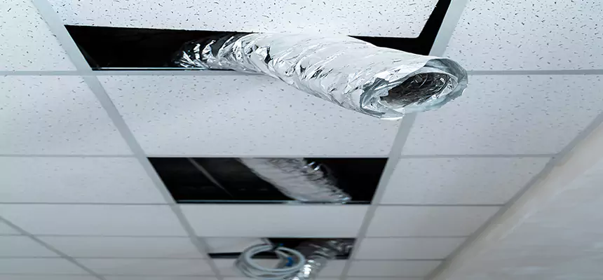 Our Air Duct Pet Hair Removal Services in Rockville, MD