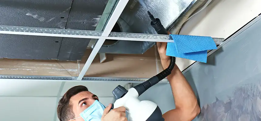 Our Air Duct Rodent Removal Services in Rockville, MD
