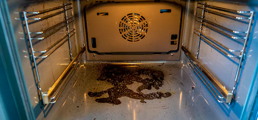 Our Dryer Vent Mold Cleaning Services in Rockville, MD