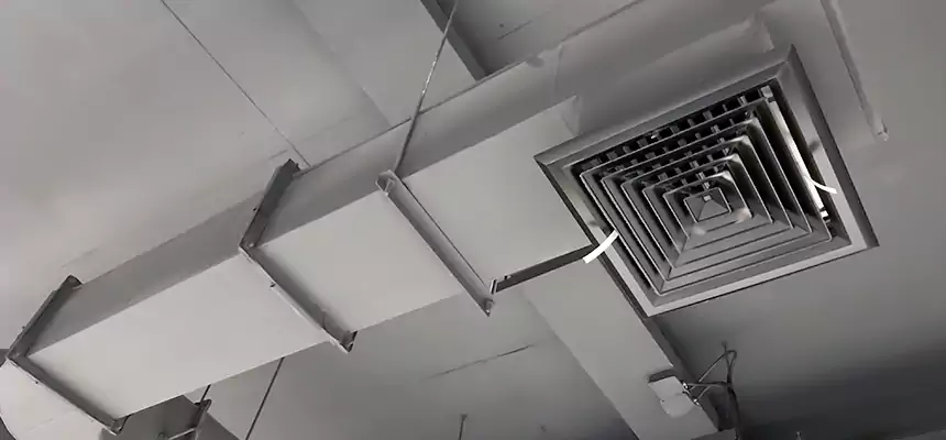 Our Pest Removal From Ducts Services in Rockville, MD