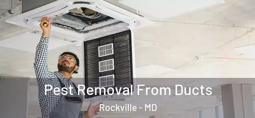 Pest Removal From Ducts Rockville - MD