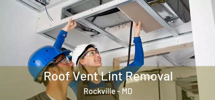 Roof Vent Lint Removal Rockville - MD