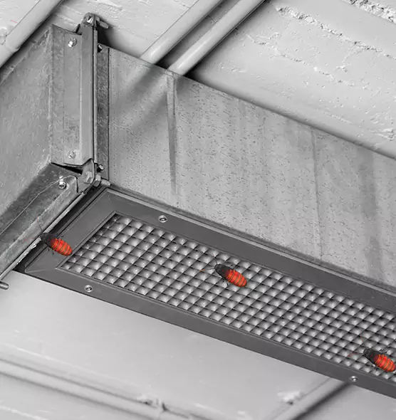 About Air Duct Cockroach Removal in Rockville, MD