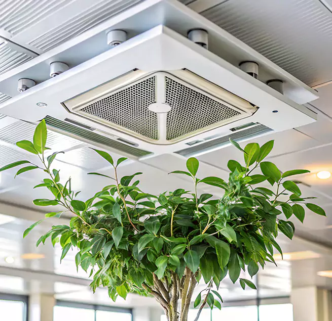 Why Homeowners & Businesses Trust Us in Rockville, MD?